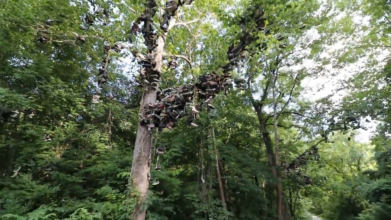 Milltown Shoe Tree