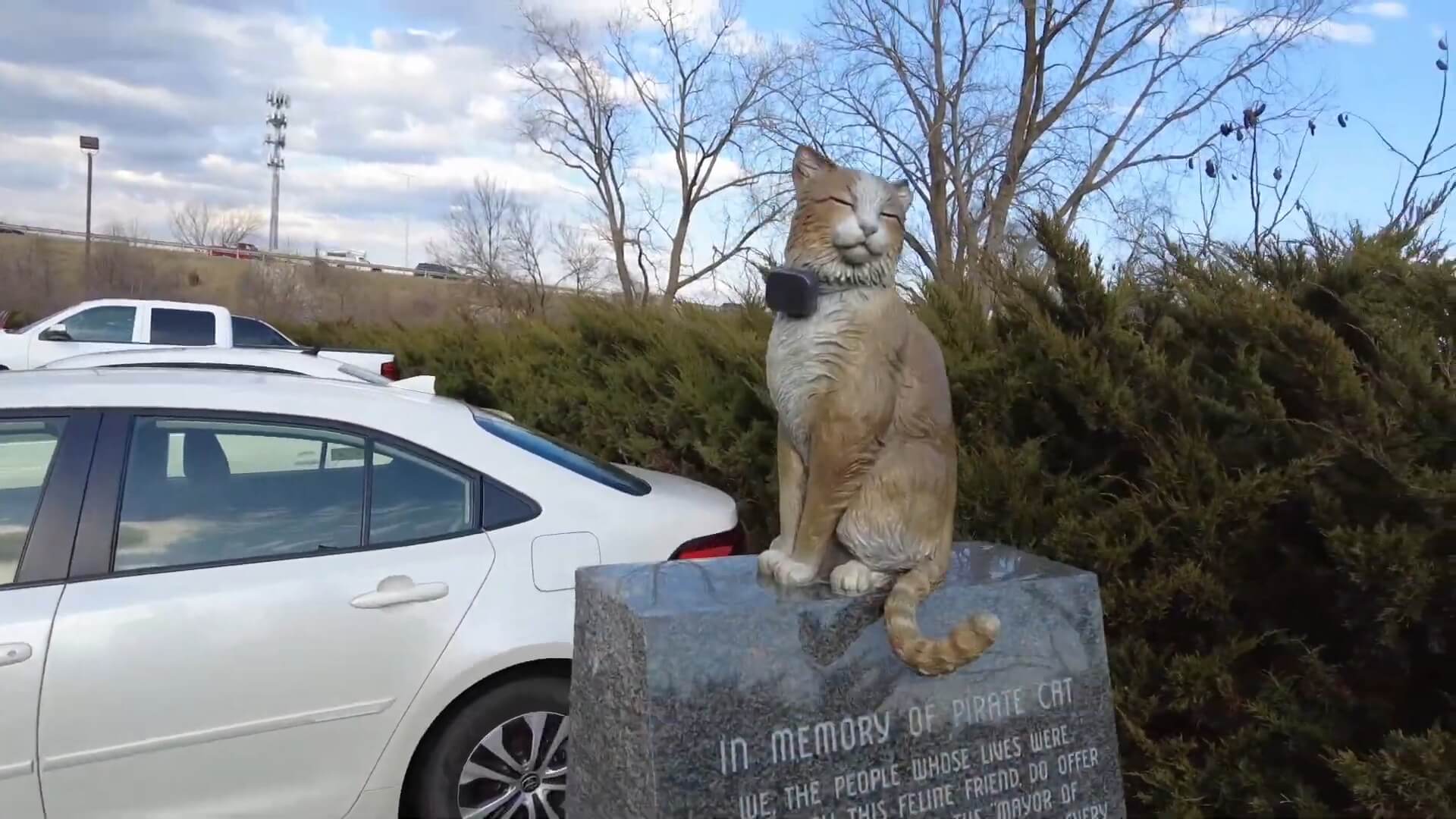 Pirate Cat Memorial