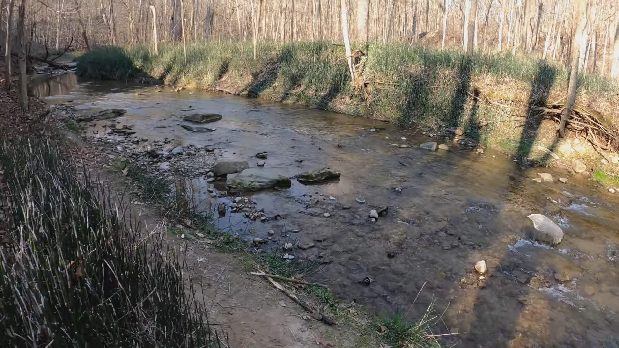 Portland Arch Nature Preserve